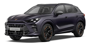 CUPRA TERRAMAR 24 -