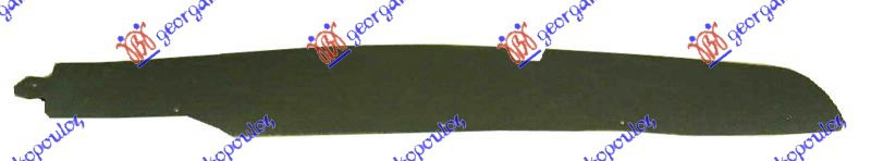 Nënkrah i përparëm (pjesa e pasme) (majtas=djathtas)