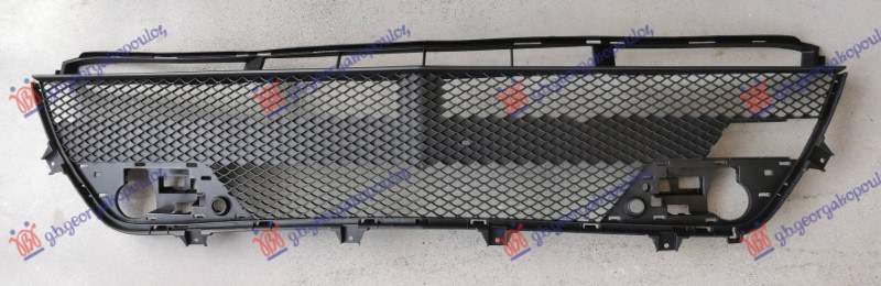 Grilë në parakolpin e përparmë (AMG)